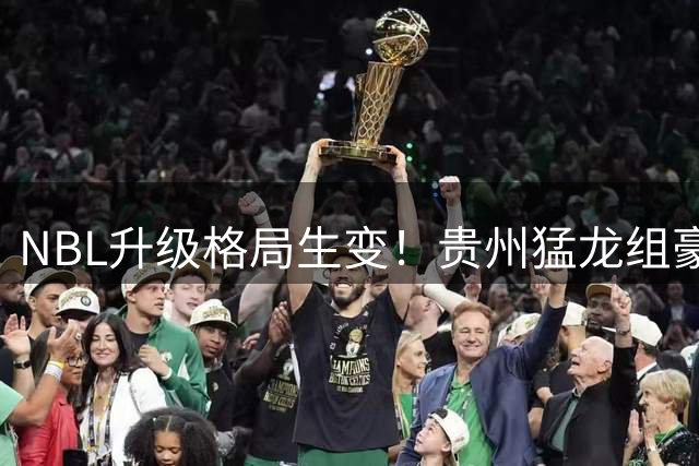 NBL升级格局生变！贵州猛龙组豪华阵容剑指CBA 丁彦雨航幕后发力